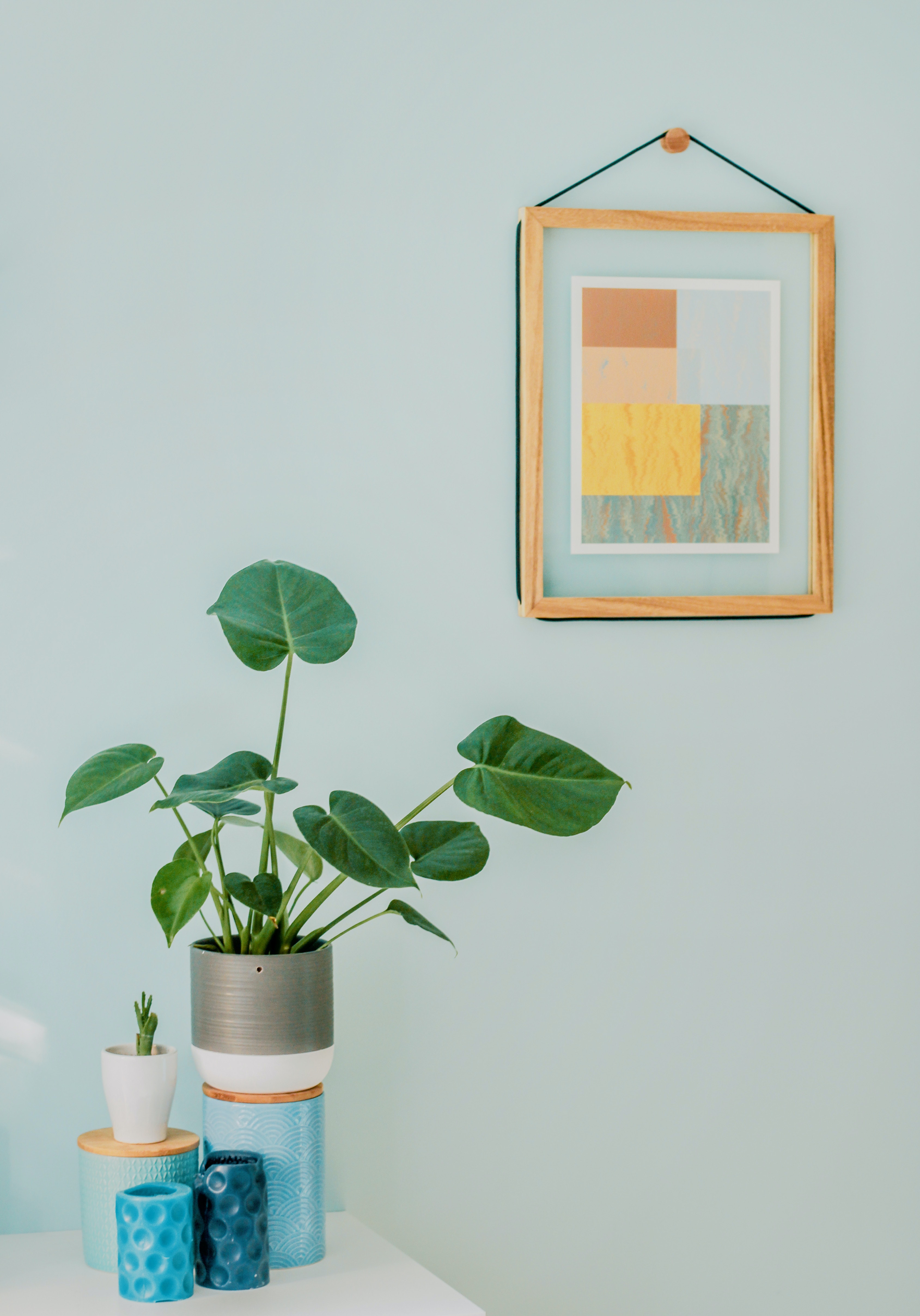 two houseplants, some decorations, and a framed art piece aginst a blue-grey wall