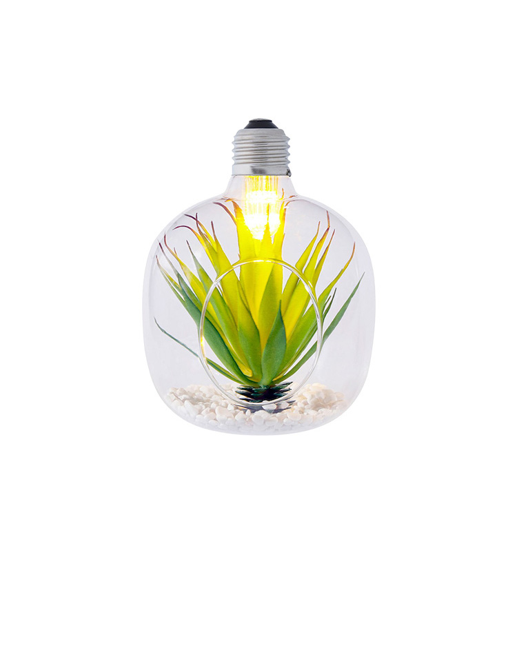 A terrarium lamp
